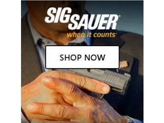 How To Buy A Gun Online safe and secure no risk