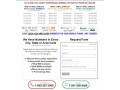 vanity-numbers-local-or-800-number-for-your-business-small-1