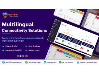 Multilingual Connectivity Solutions