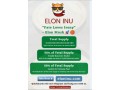 elon-inu-small-0