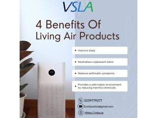 Enhance Indoor Air Quality Naturally