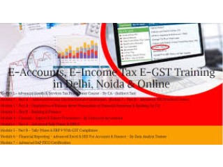 Tally Certification Course in Delhi, 110089 Get Valid Certification by SLA Accounting Institute, GST and Tally ERP Institute in Delhi,