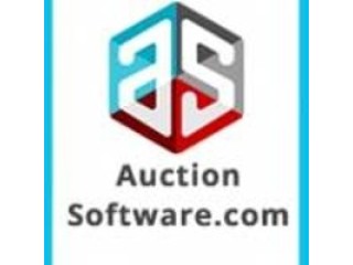 Silent Auction Software: Streamlined Solutions for Events