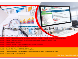 Accounting Course in Delhi, 110084, NCR by SLA Accounting Institute, Taxation and Tally Prime Institute in Delhi,