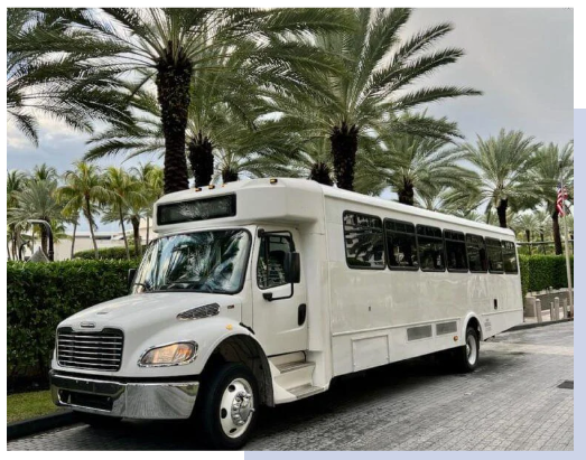 system-shuttle-miami-big-2