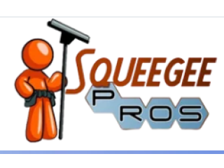 Squeegee Pros