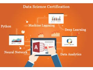 Data Analyst Course in Delhi with SLA Placement,110025.