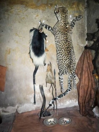 powerful-traditional-healer-big-0