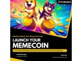 develop-your-next-big-hit-meme-coin-in-1-day-with-plurance-small-0