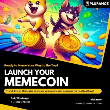 develop-your-next-big-hit-meme-coin-in-1-day-with-plurance-big-0