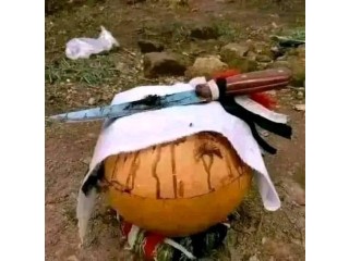 Powerful Traditional Healer