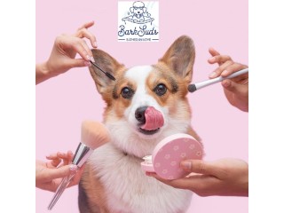 Stylish and Safe Pet Haircuts in Oviedo