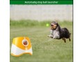 automatic-dog-ball-launcher-toy-small-0