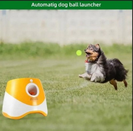 automatic-dog-ball-launcher-toy-big-0