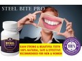 steel-bite-pro-small-0