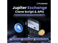 jupiter-clone-launch-a-powerful-defi-aggregator-without-complexity-small-0