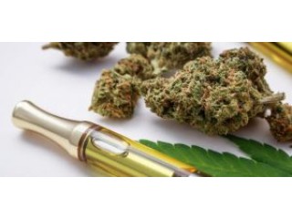 Unlock Precision with Advanced Extraction Methods