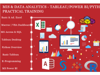 Is an Business Analytics Course Worth It in 2025? Job Market Insights, 100% Job, MIS Course in Delhi,