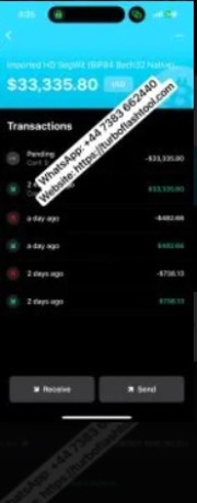 turbo-flash-tool-the-best-btc-flasher-usdt-flash-software-for-secure-crypto-transactions-big-1