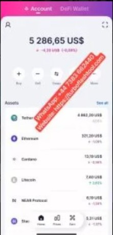 turbo-flash-tool-the-best-btc-flasher-usdt-flash-software-for-secure-crypto-transactions-big-0