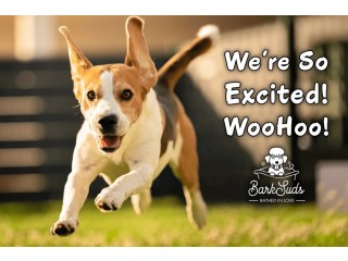 Top-Quality Care for Your Furry Friend