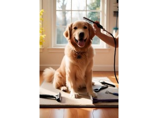 Sustainable Pet Pampering for a Healthier Tomorrow