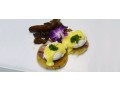 best-catering-services-north-conway-nh-small-0