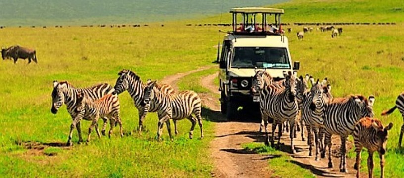 unforgettable-tanzania-luxury-safari-packages-with-amrix-adventures-ltd-big-0