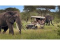 experience-east-africa-adventure-tours-with-kwesa-tours-small-0
