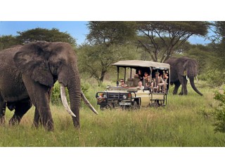 Experience East Africa Adventure Tours with Kwesa Tours