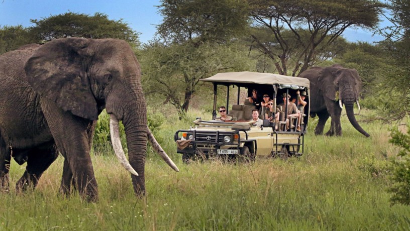 experience-east-africa-adventure-tours-with-kwesa-tours-big-0