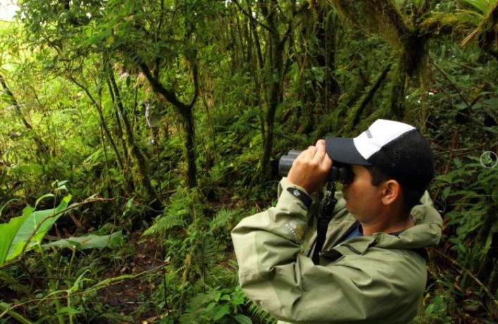 affordable-customized-costa-rica-tour-packages-by-ecoterra-big-0