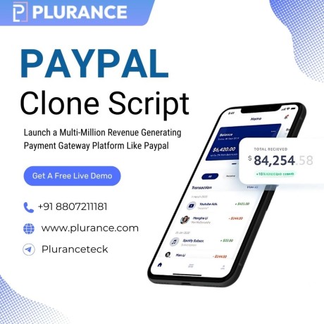 paypal-clone-create-a-secure-online-payment-gateway-like-paypal-big-0