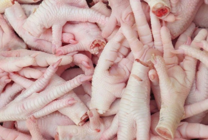 chicken-feet-exporter-wholesaler-supplier-bulk-buy-big-4