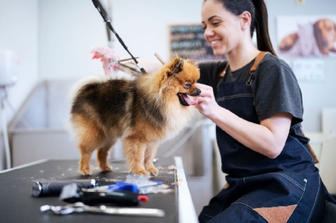 your-search-for-the-best-dog-groomers-in-fishhawk-ends-here-big-0