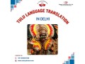 professional-tulu-language-translation-services-in-delhi-fast-accurate-small-0