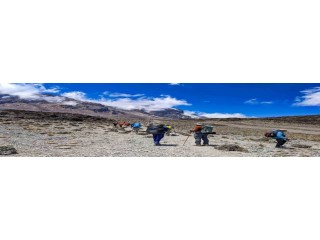 Mount Kilimanjaro Lemosho Route | High-Altitude Scenic Trek