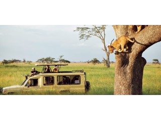 Tanzania Safari Company