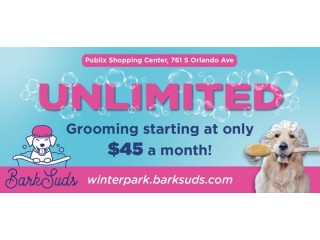 Trusted Winter Park Grooming for Happy, Healthy Pets