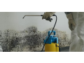 mold-specialist-brooklyn-small-0