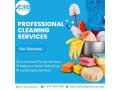 professional-cleaning-services-small-0