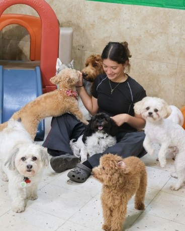 safe-and-caring-pet-daycare-services-nearby-big-0