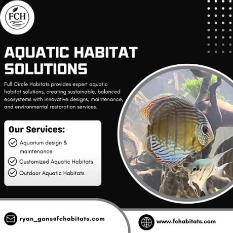 home-aquarium-installation-big-0