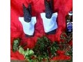 the-best-powerful-spiritual-herbalist-spell-caster-in-nigeria2348076364703-small-2