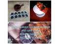 the-best-powerful-spiritual-herbalist-spell-caster-in-nigeria2348076364703-small-0