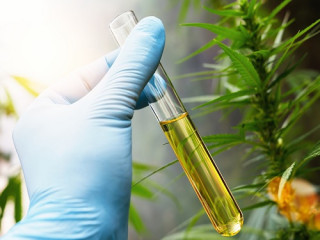 Advanced Solutions for Safe Cannabis Extraction