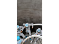 syna-world-syan-worldwide-official-store-up-to-45-off-small-0