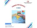 professional-translation-services-in-india-small-0