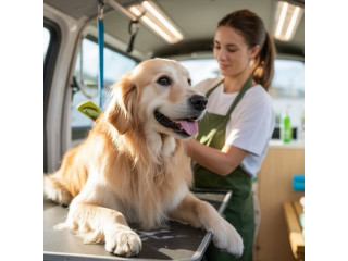 Stress-Free Dog Grooming Right at Your Door