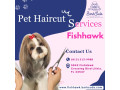stylish-pet-haircuts-made-simple-small-0